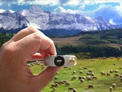 Kompas SUUNTO KB-14/360 Q/D