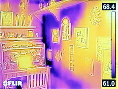 Flir C2 termovizijska kamera